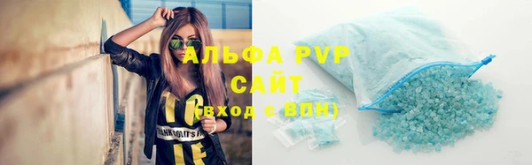 сатива Беломорск