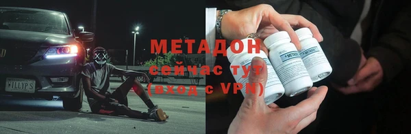сатива Беломорск