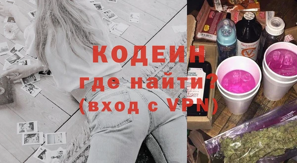 сатива Беломорск