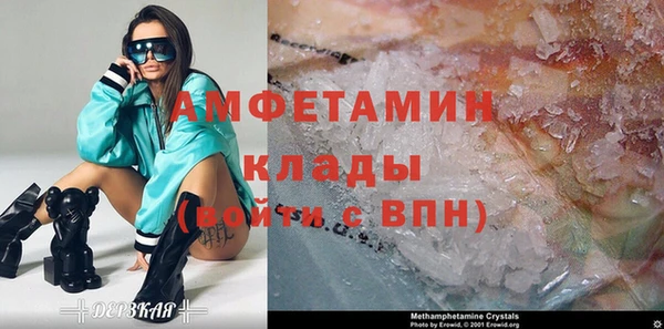 сатива Беломорск