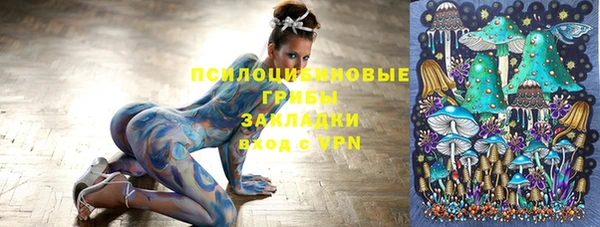 сатива Беломорск