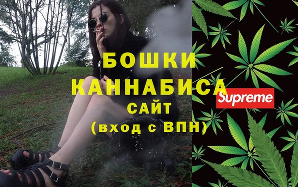 сатива Беломорск